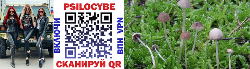 продажа наркотиков Электрогорск hydra зеркало Галлюциногенные грибы прущие грибы